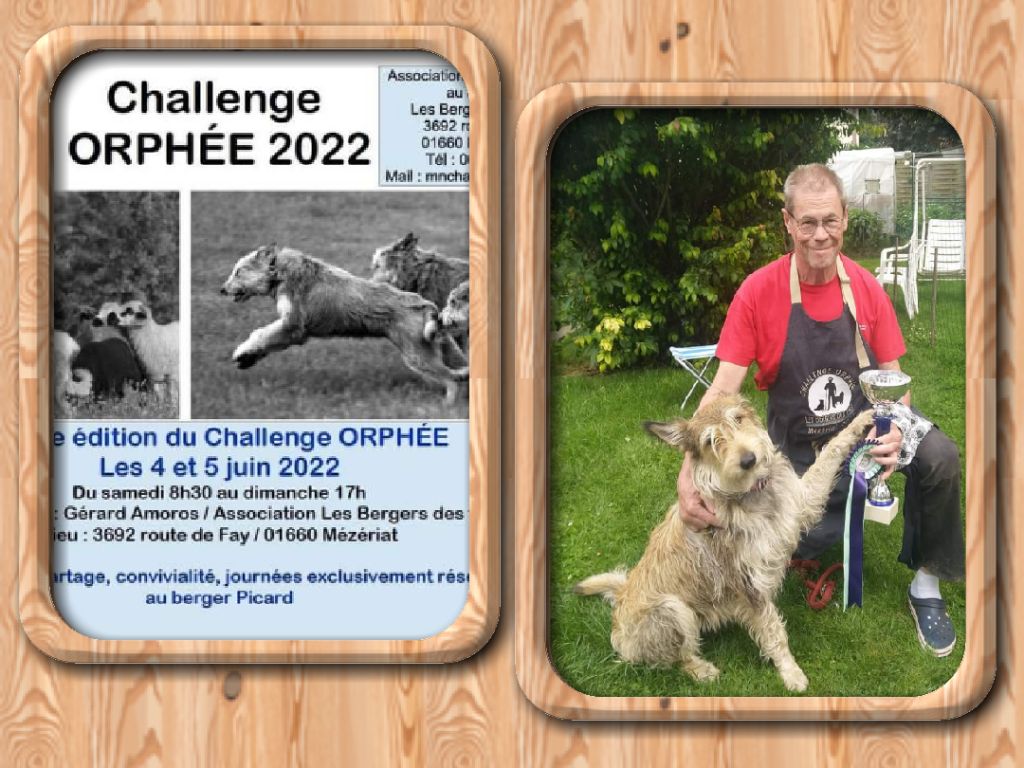 De La Riviere Authie - CHALLENGE ORPHÉE 2022