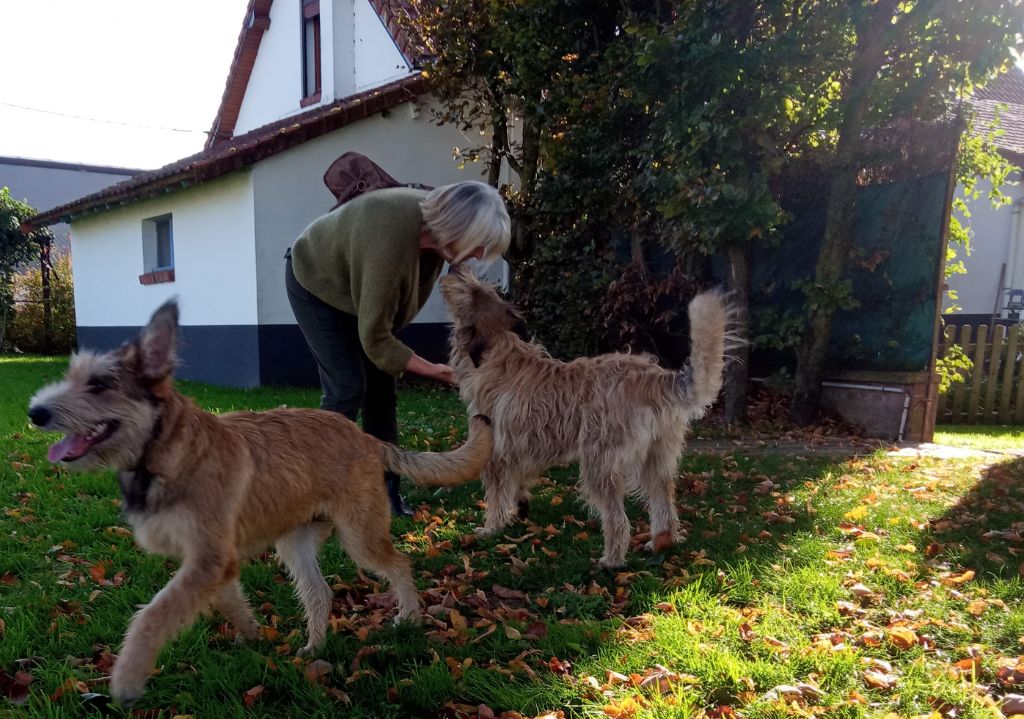 De La Riviere Authie - VISITE DE TOM