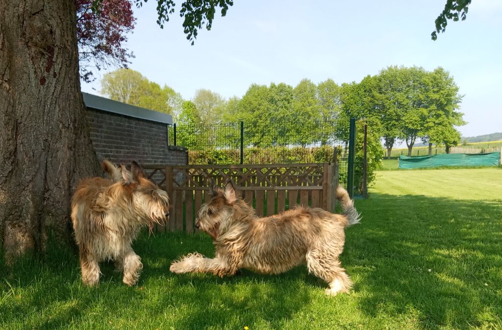 De La Riviere Authie - VISITE DE TWIST