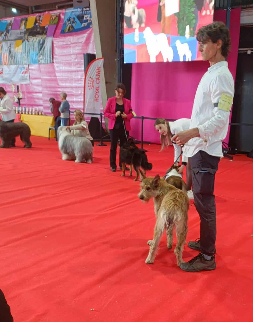 EXPOSITION DE TARBES