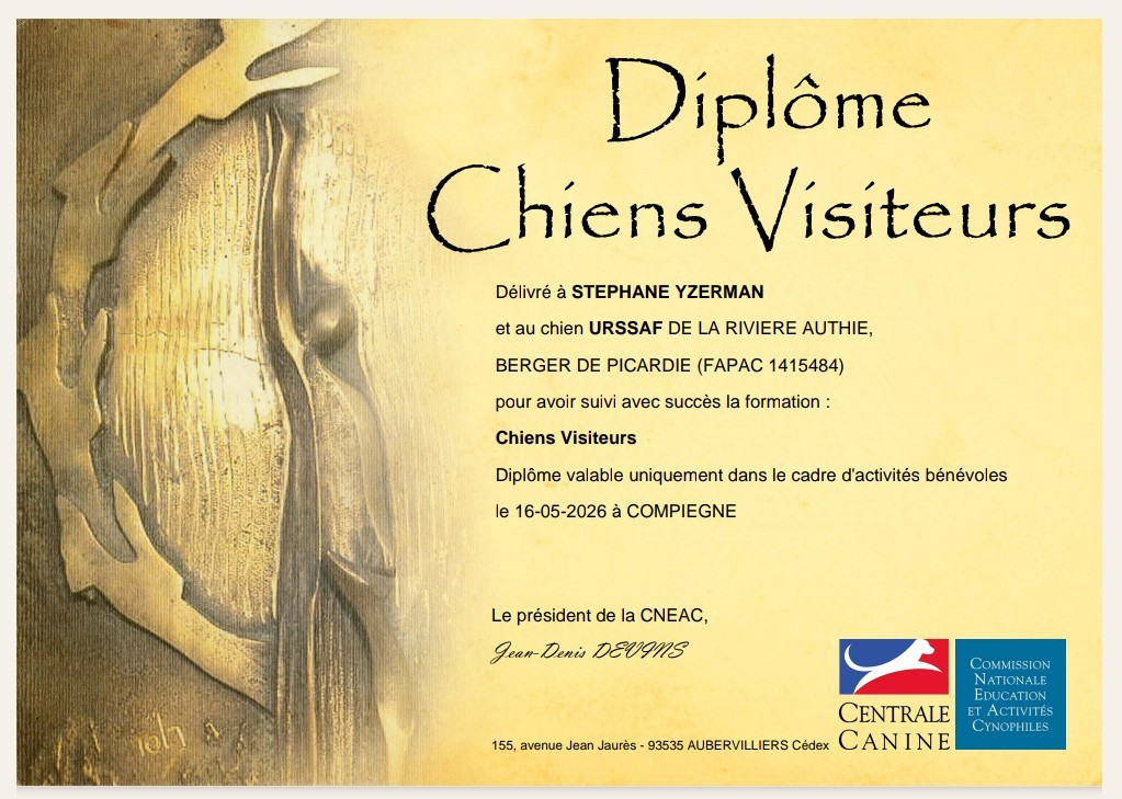 CHIEN VISITEUR