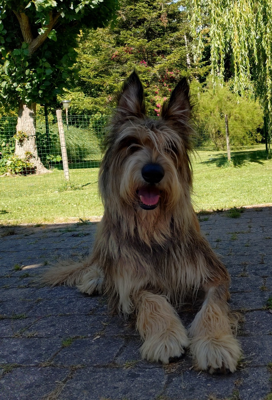 Visite à VALKO
