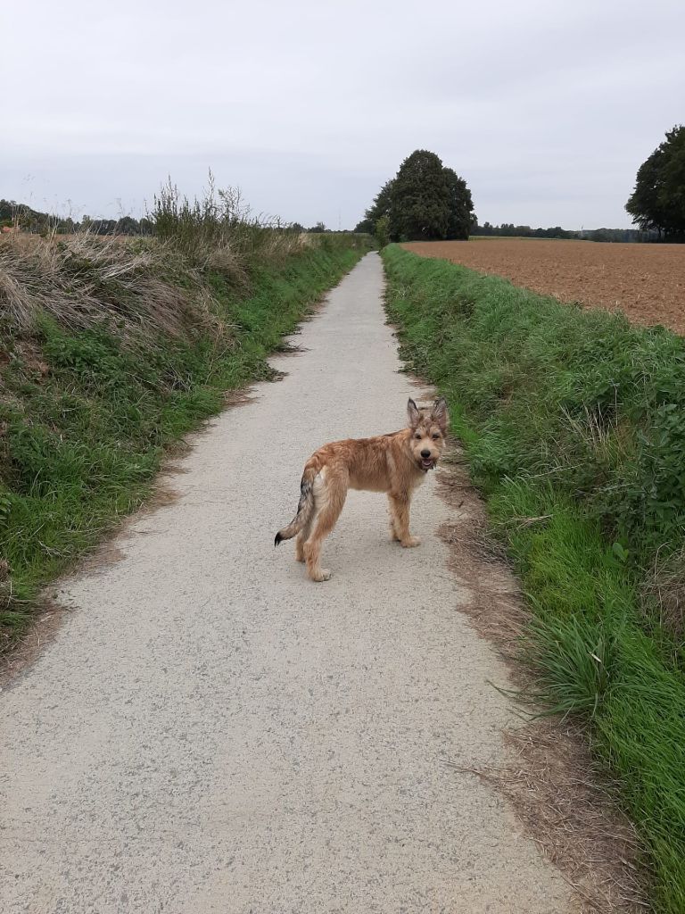De La Riviere Authie - RAOUL