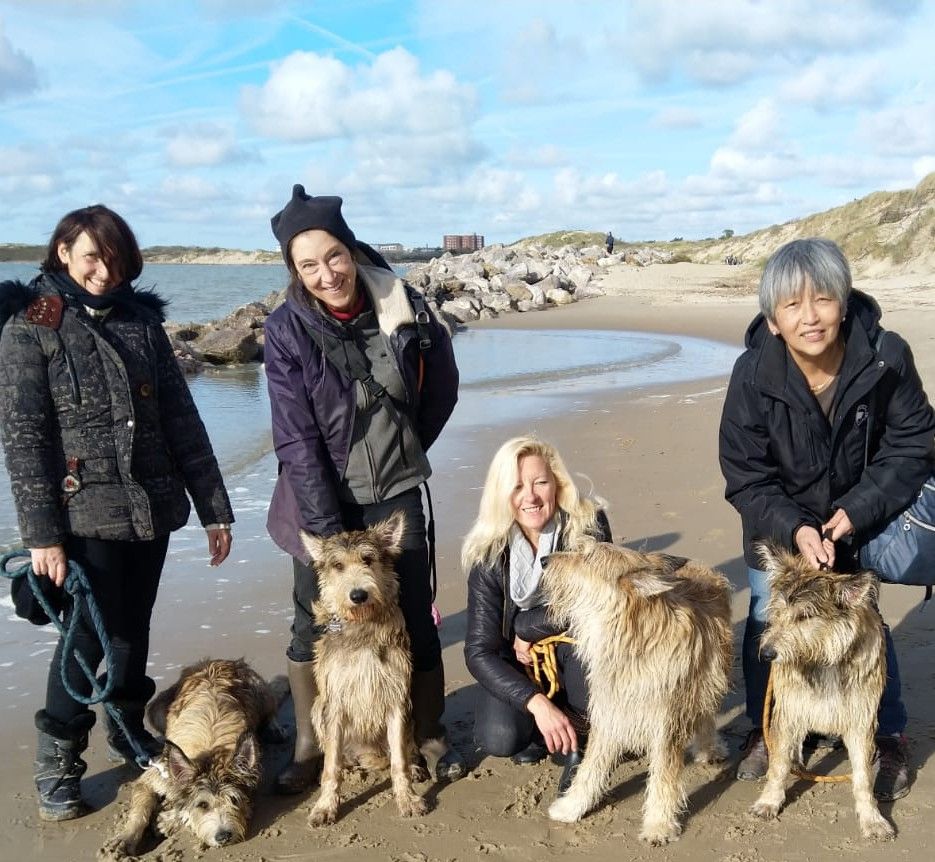 De La Riviere Authie - APRÈS-MIDI PLAGE EN FAMILLE