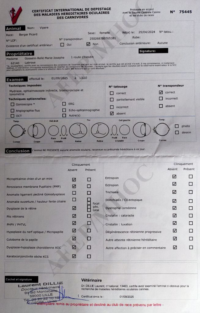 VIPÈRE 