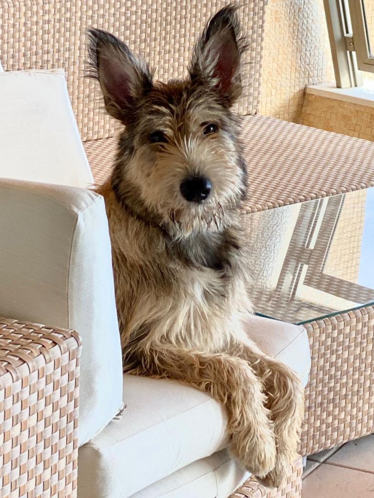 De La Riviere Authie - RUFUS