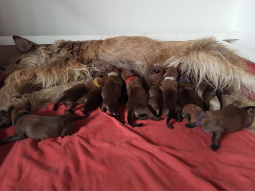 De La Riviere Authie - NAISSANCE