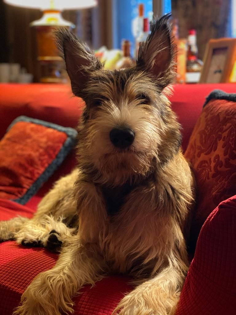 De La Riviere Authie - RUFUS