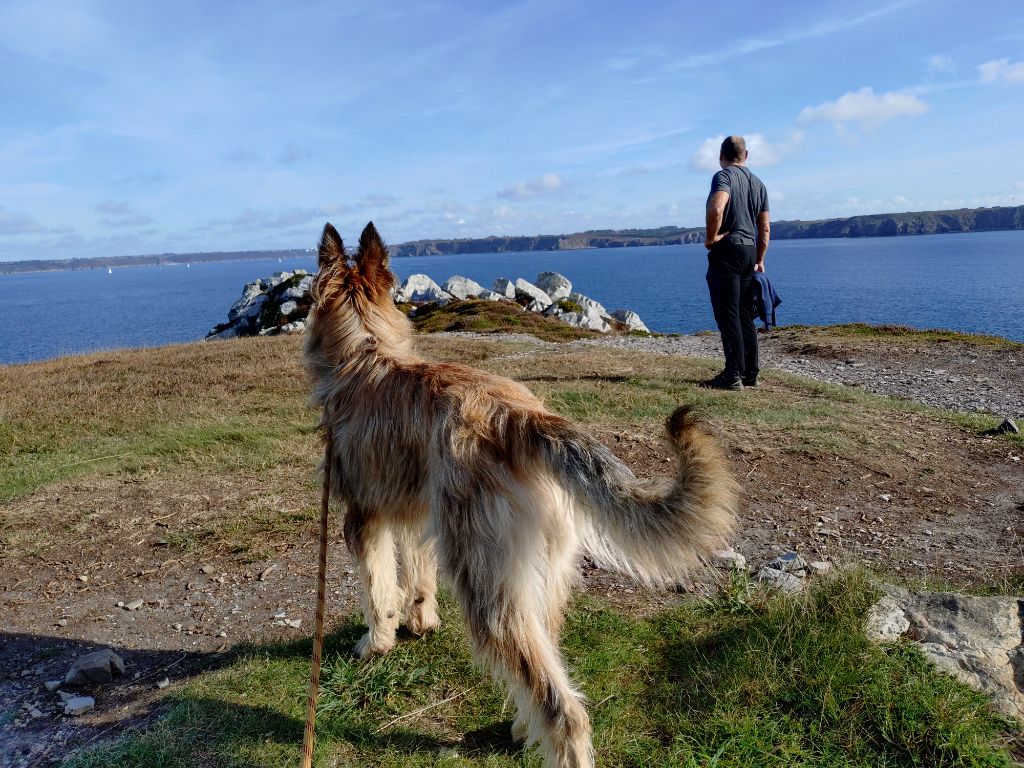 CAMARET SUR MER 