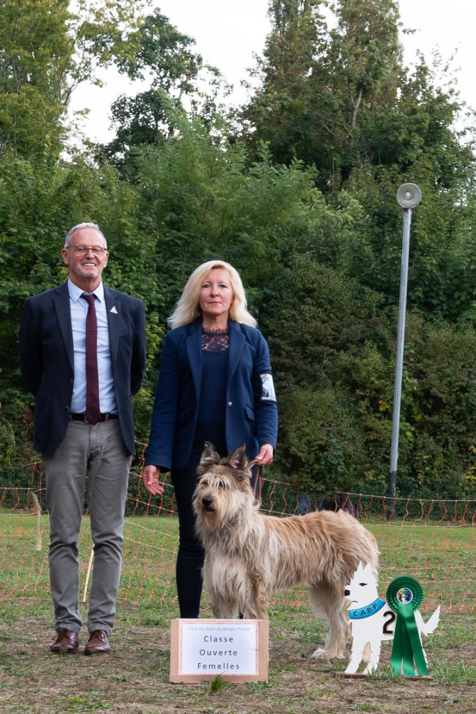 De La Riviere Authie - NATIONALE D'ÉLEVAGE 2022