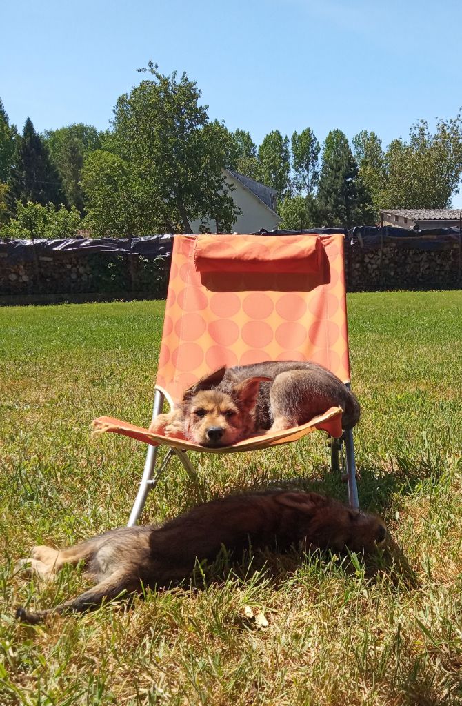 De La Riviere Authie - Un air de vacances pour Rose et Raiden