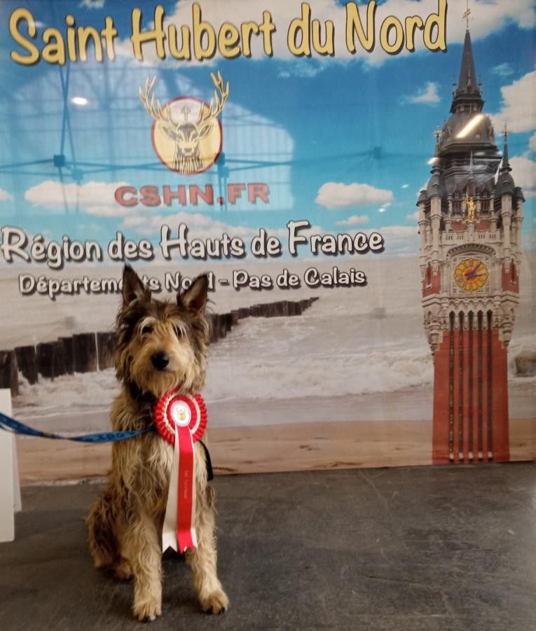 De La Riviere Authie - EXPOSITION DE MAUBEUGE