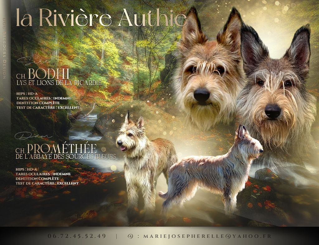 Chiots de PROMÉTHÉE 2024